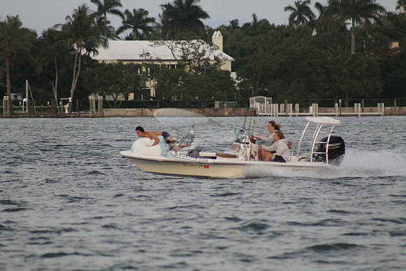 FL1297SV.04
