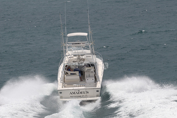 AMADEUS.KEYSTONE PT FL.03