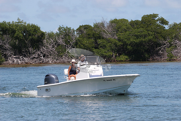 fl8260rl.0307