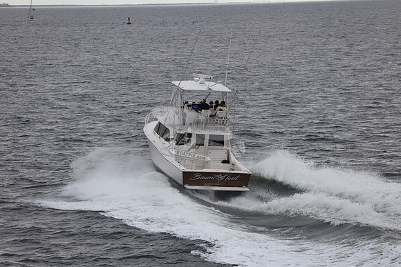 bimini twist.2