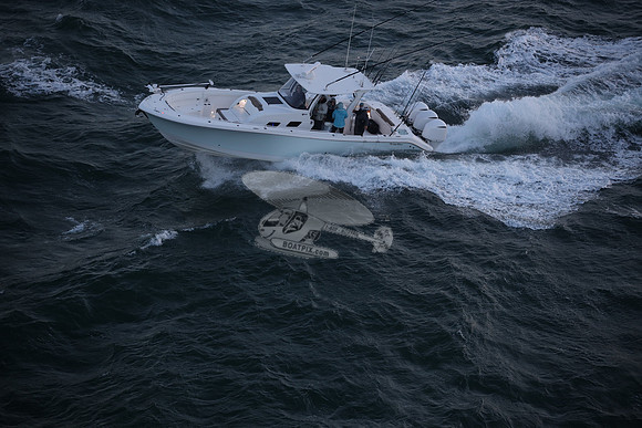contingent seas.belleair bluffs .9031