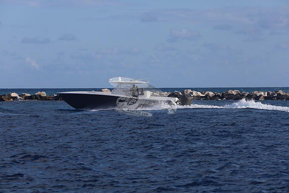 Caryali.06
