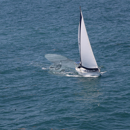 422.FL8313SN..SPIRIT OF THE WIND.44