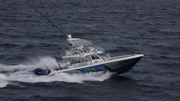 FFMD.EVERGLADES.4 YAMAHA BLUE.2825