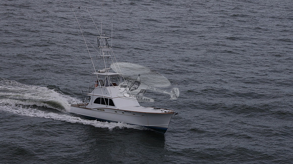 ballie who iii.islamorada fl.9532