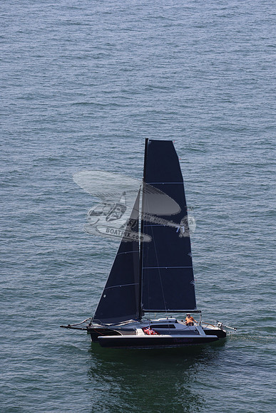 71.blackbird.2