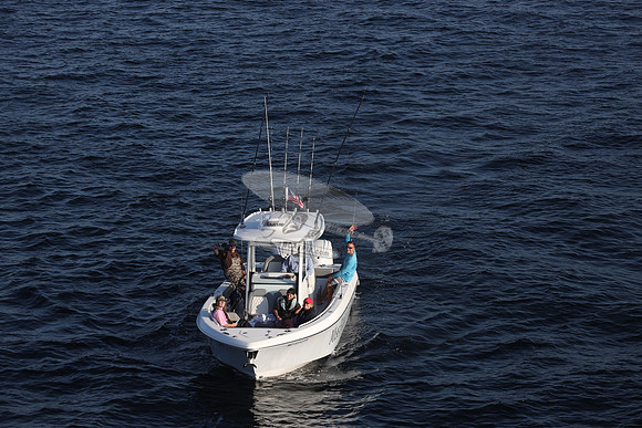 NC5312FA.MISS FITZ II.355