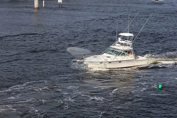 Apex Predator.ft pierce.01
