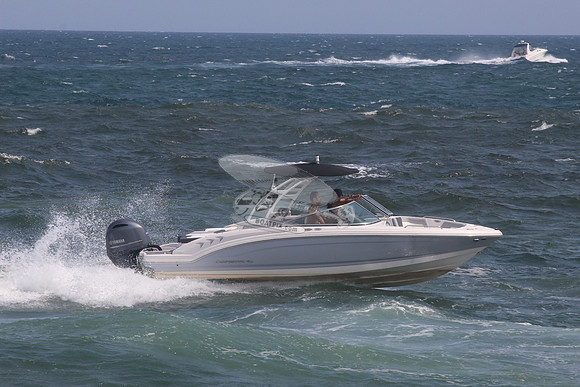 CHAPARRAL.GRAY W BLACK TOP.01