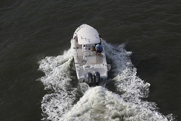 COBIA.LT BLUE HULL.331