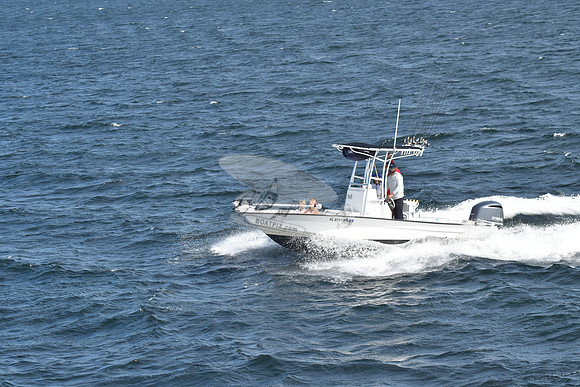 FL0791RM.315
