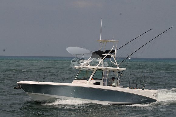 EURO..JUPITER FL.BOSTON WHALER.3