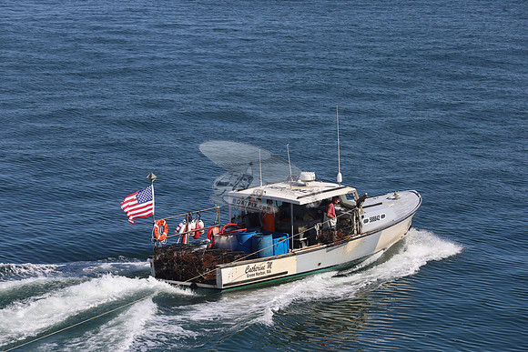 588842.CATHERINE M.GREEN HARBOR MA.01