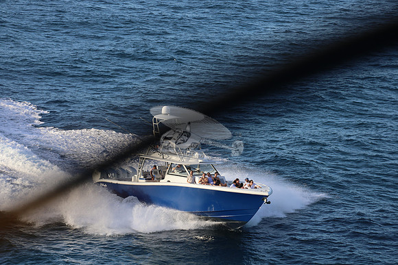 alegrias.bay harb.yellowfin.14