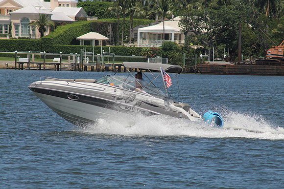 CROWNLINE.GRAY WHITE.11