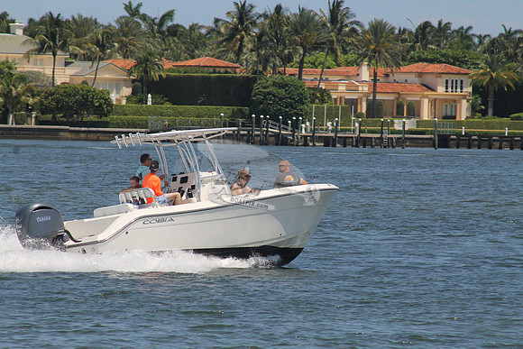 COBIA.13