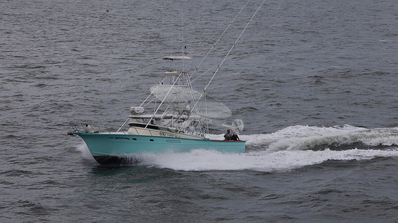 697155.hull's sea lover.ponce inlet fl.9438