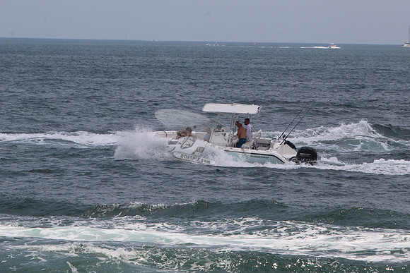 fl1336su.8016