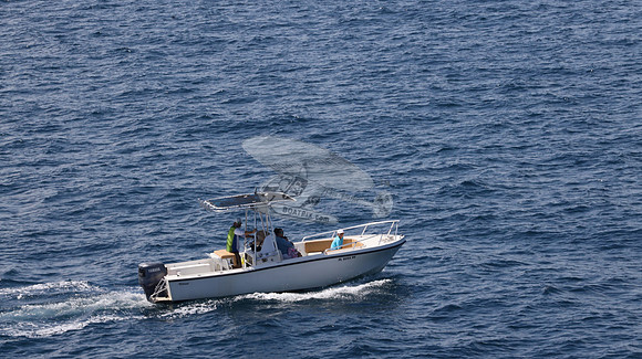 FL0253DE.112