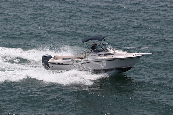 fl8366tm.07