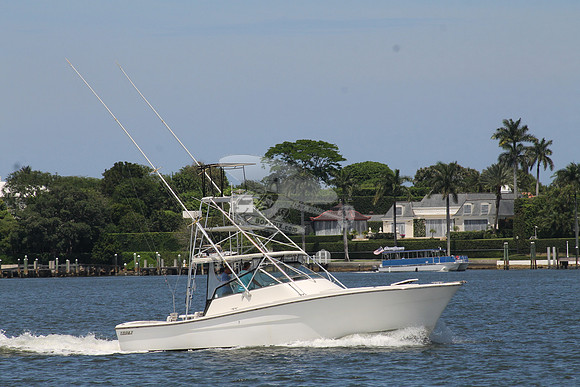 FISH HAPPENS.LANTANA FL.TOPAZ.02