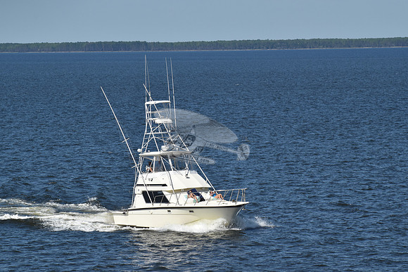 FL0801PJ..CHASER.06