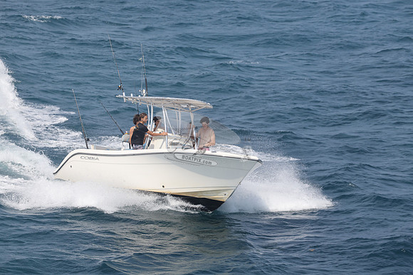 COBIA.WHITE.27