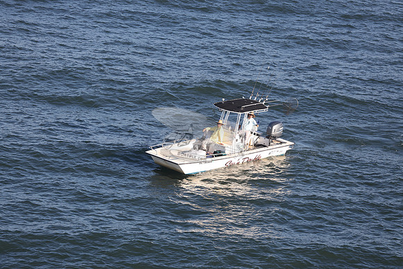 dl7383am.sea'n double.9315