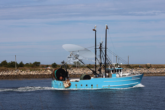 620472.marguerite c.4887