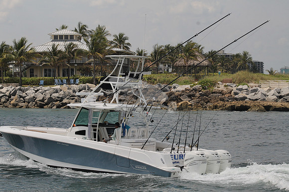 EURO..JUPITER FL.BOSTON WHALER.4