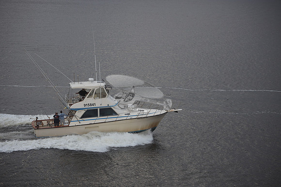 915841.WILD ROVER III.1202