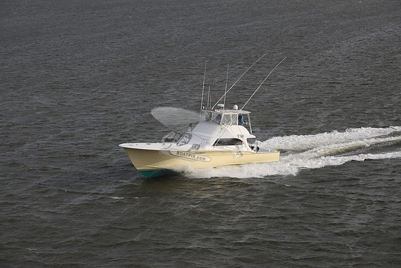 yellowfin.morehead city.3502