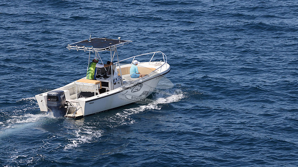 FL0253DE.119