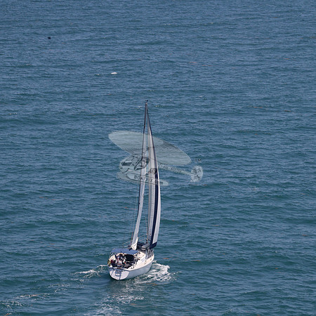 422.FL8313SN..SPIRIT OF THE WIND.07