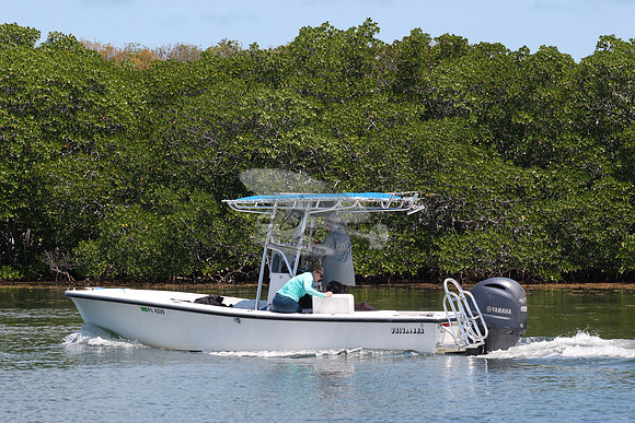 fl4339.privateer.0360