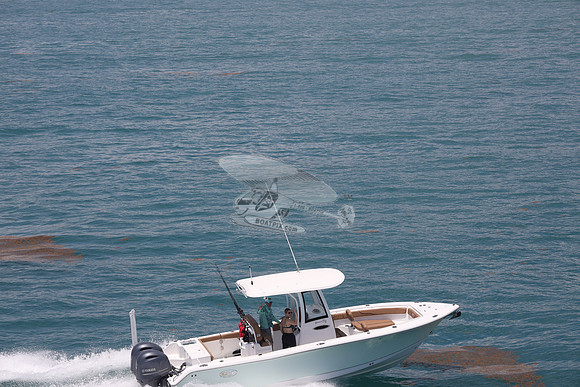 fl1853sl.sea hunt.green 2 yamah.11