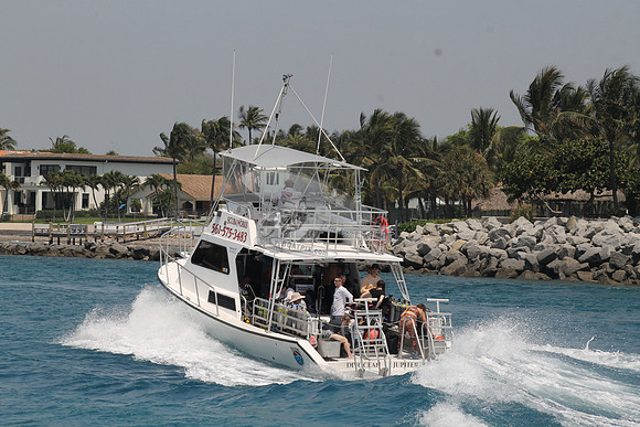 DIVOCEAN.JUPITER FL.8