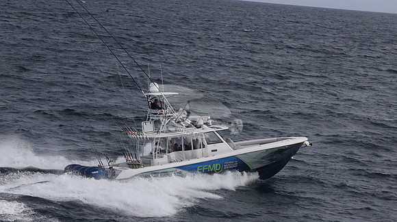 FFMD.EVERGLADES.4 YAMAHA BLUE.2819