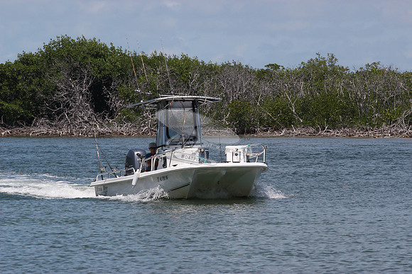 nj3191hf.0363