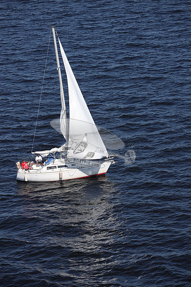 00000.FL6014SL.TAZZ.3742
