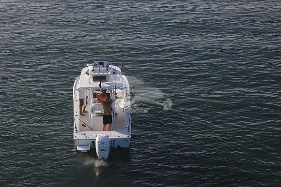 canyon bay.merc 400.9740