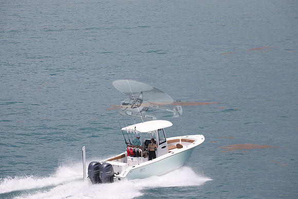 fl1853sl.sea hunt.green 2 yamah.03