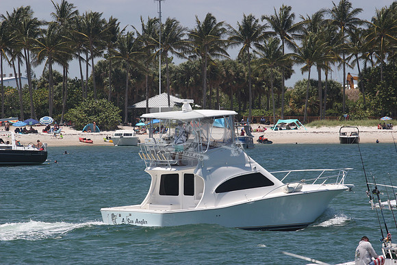 A Sea Angler.hypoluxo.5