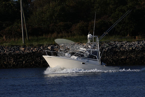 reel tight.topaz.4