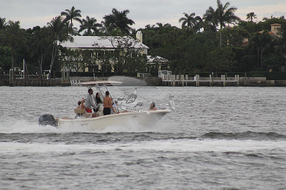 FL0786SX.808