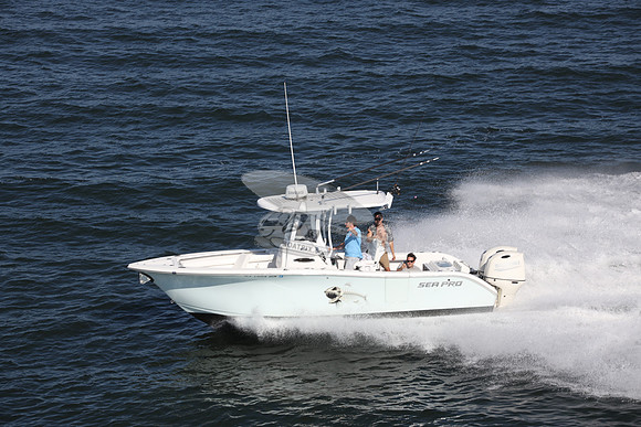 NJ1604HN.5619