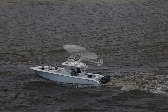 al.yellowfin.01