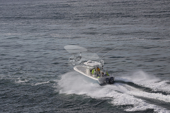 --2871ah.sailfish.blue hull.2775