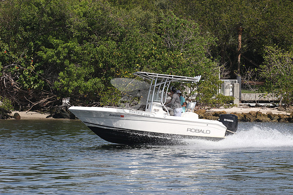 FL8017PR.3