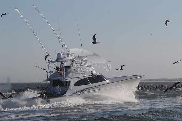 billfisher.9604